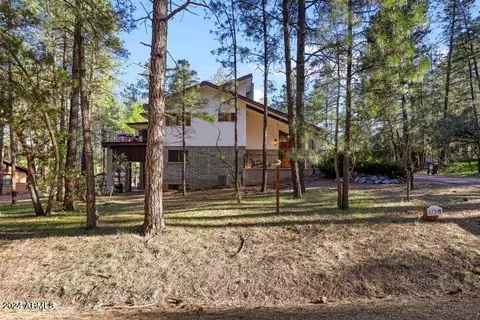 8729 W Emmas Vw, Pine, AZ 85544 photo 39