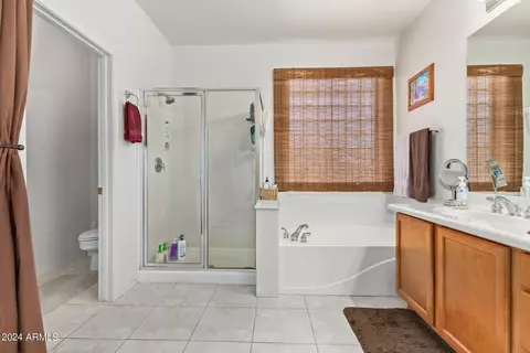 Bath - 9518 E Meseto Ave, Mesa, AZ 85209 photo 1 of 4