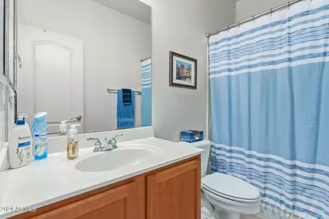 Bath - 9518 E Meseto Ave, Mesa, AZ 85209 photo 4 of 4