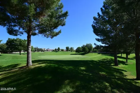 Other - 9518 E Meseto Ave, Mesa, AZ 85209 photo 26 of 43