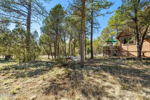 2055 Cherokee Strip --, Overgaard, AZ 85933 photo 22