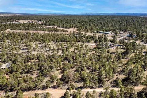 2055 Cherokee Strip --, Overgaard, AZ 85933 photo 29