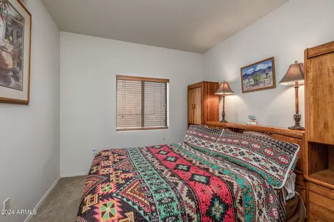485 E Cactus Mountain Dr, Vail, AZ 85641 photo 19