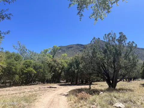 00 E Ramsey Canyon Rd #-, Hereford, AZ 85615
