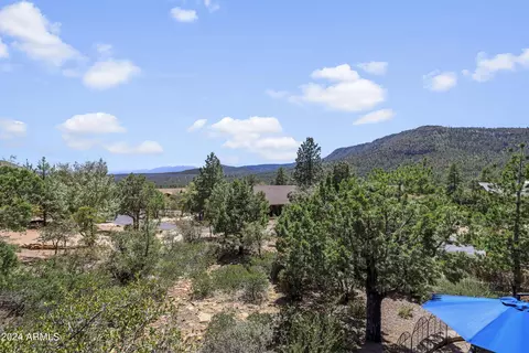 4569 N Firestar Ln, Pine, AZ 85544 photo 25