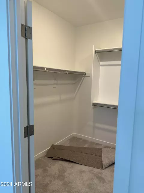 9906 E Tamery Ave, Mesa, AZ 85212 photo 17