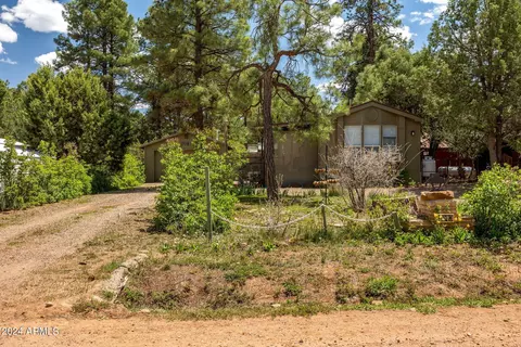 2043 Wilderness Dr, Overgaard, AZ 85933 photo 2