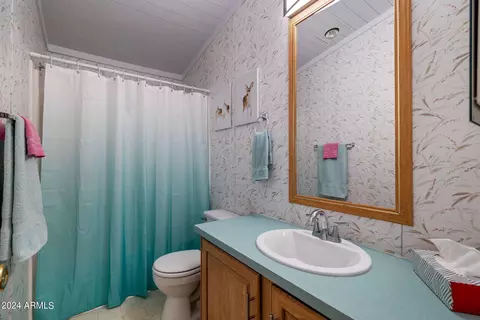 2043 Wilderness Dr, Overgaard, AZ 85933 photo 17