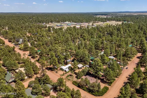2043 Wilderness Dr, Overgaard, AZ 85933 photo 27