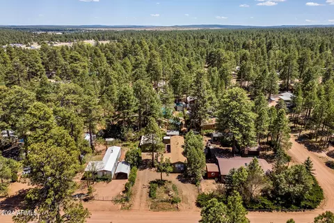 2043 Wilderness Dr, Overgaard, AZ 85933 photo 26
