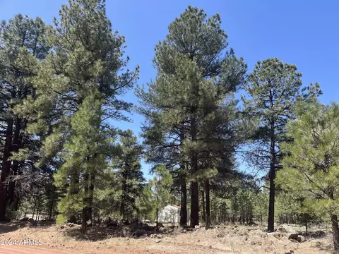 138 S Kaibab Lot 33 Ave N #33, Parks, AZ 86018