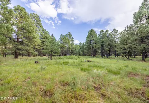 2265 Skunk Way #547, Forest Lakes, AZ 85931