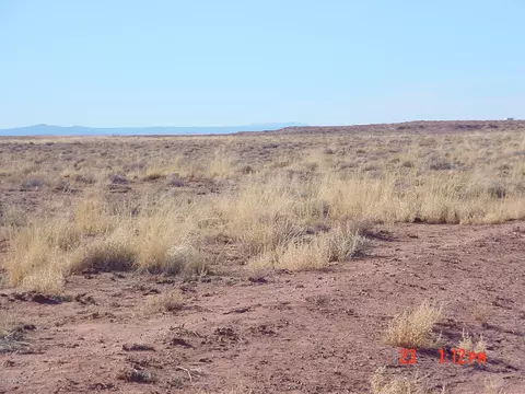 0 Little Butte Ln #96, Winslow, AZ 86047