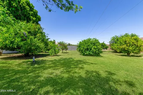 1346 E Salado Cir, Mesa, AZ 85203 photo 48