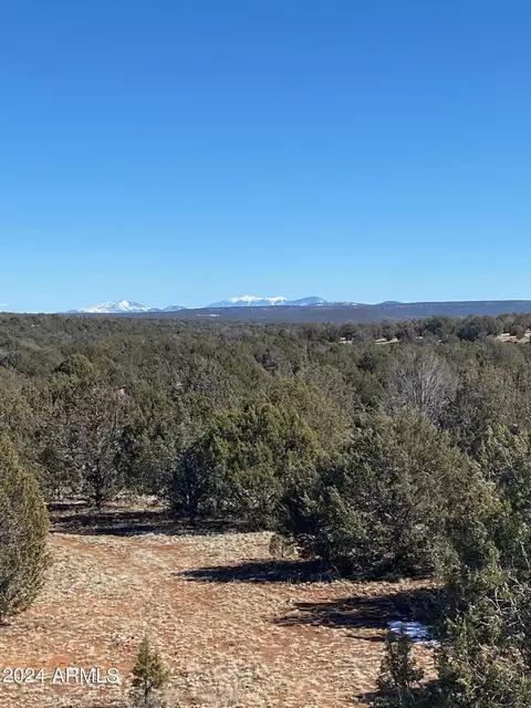 000 Westwood Ranch Rd #676, Williams, AZ 86046