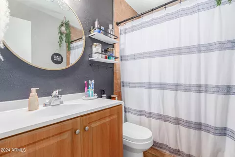1741 E Chambers St, Phoenix, AZ 85040 photo 17