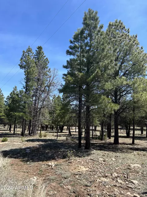 4783 Horseshoe Dr #94, Happy Jack, AZ 86024