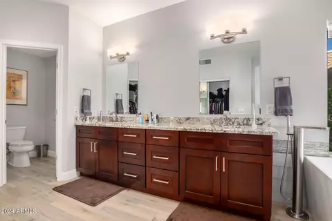 2206 E Sapium Way, Phoenix, AZ 85048 photo 22