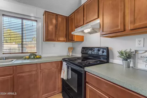 895 E 4th Ave, Apache Junction, AZ 85119 photo 10