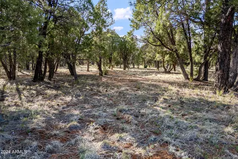 2756 Apollo Cir #141, Overgaard, AZ 85933