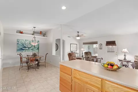 11533 E Lakeview Ave, Mesa, AZ 85209 photo 15