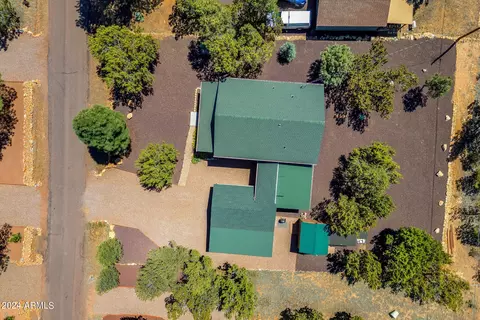 3364 Panorama Dr, Overgaard, AZ 85933 photo 31