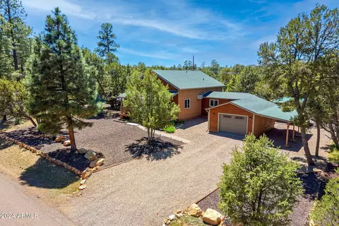 3364 Panorama Dr, Overgaard, AZ 85933 photo 30