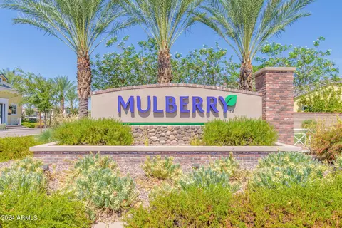 10631 E Meseto Ave, Mesa, AZ 85209 photo 63