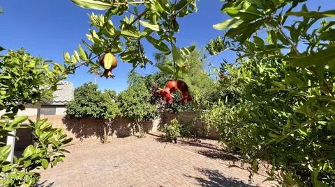 4119 E Coolbrook Ave, Phoenix, AZ 85032 photo 37