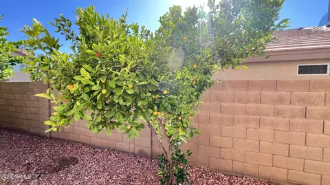4119 E Coolbrook Ave, Phoenix, AZ 85032 photo 38