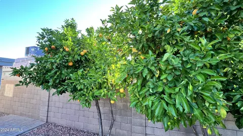 4119 E Coolbrook Ave, Phoenix, AZ 85032 photo 39