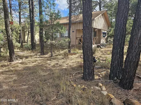 2167 Hashknife Dr, Overgaard, AZ 85933