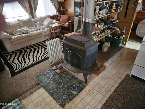 2167 Hashknife Dr, Overgaard, AZ 85933 photo 3