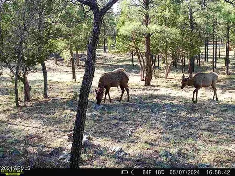 5721 Bald Eagle Way #127, Happy Jack, AZ 86024