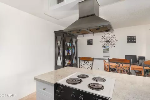 1049 E 10th Ave, Mesa, AZ 85204 photo 15