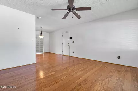 237 E La Mar Blvd, Goodyear, AZ 85338 photo 15