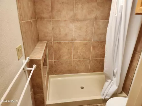 10129 E Wood Ave, Mesa, AZ 85208 photo 23