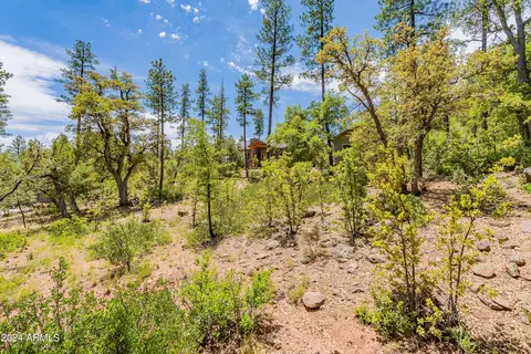 4020 W Forest Ct #71, Pine, AZ 85544 photo 8