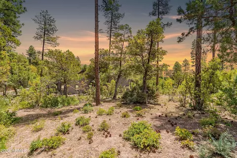 4020 W Forest Ct #71, Pine, AZ 85544 photo 5