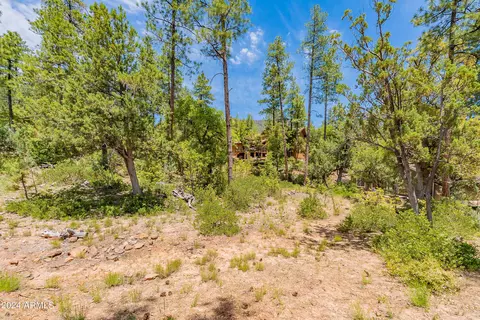 4020 W Forest Ct #71, Pine, AZ 85544 photo 13
