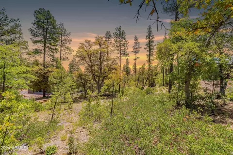 4020 W Forest Ct #71, Pine, AZ 85544 photo 4