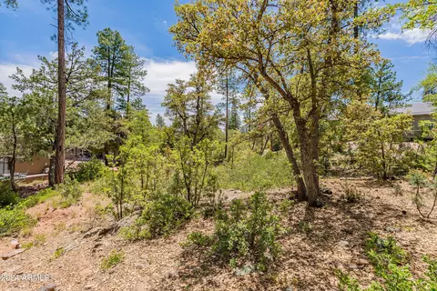 4020 W Forest Ct #71, Pine, AZ 85544 photo 9