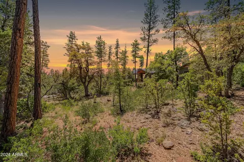 4020 W Forest Ct #71, Pine, AZ 85544 photo 3