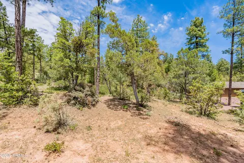 4020 W Forest Ct #71, Pine, AZ 85544 photo 14