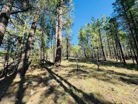 2549 Pine Valley Rd #681, Happy Jack, AZ 86024