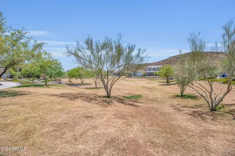 2025 E Charlotte Dr, Phoenix, AZ 85024 photo 27