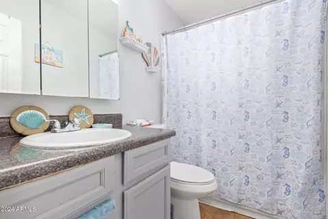 Bath - 711 E Marilyn Ave, Mesa, AZ 85204 photo 3 of 3