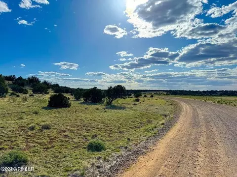 tbd 8643 12 Acres -- #-, Concho, AZ 85924