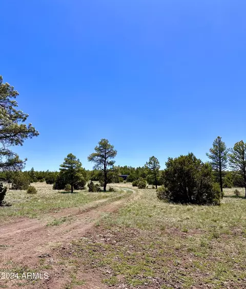 129 Lone Horseman Rd #021, Lakeside, AZ 85929