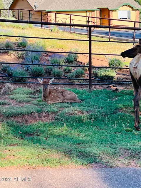 5901 W Summit Ridge Dr, Pine, AZ 85544 photo 30